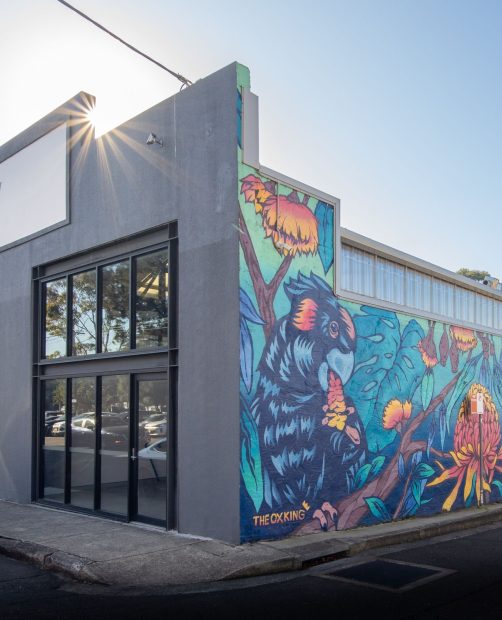 The Carton Factory • Leichhardt